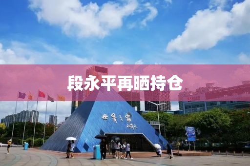 段永平再晒持仓