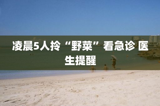 凌晨5人拎“野菜”看急诊 医生提醒