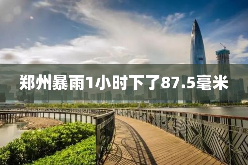 郑州暴雨1小时下了87.5毫米