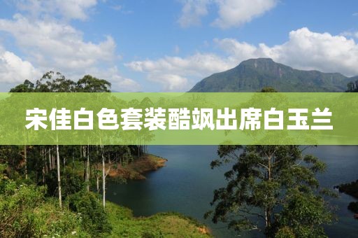 宋佳白色套装酷飒出席白玉兰