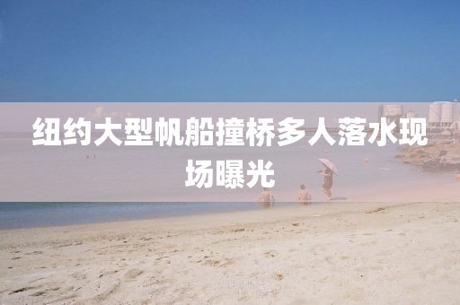 纽约大型帆船撞桥多人落水现场曝光