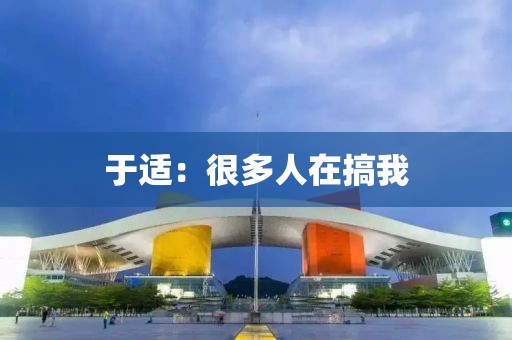 于适：很多人在搞我