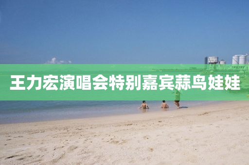 王力宏演唱会特别嘉宾蒜鸟娃娃