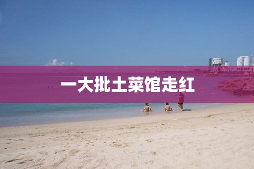 一大批土菜馆走红