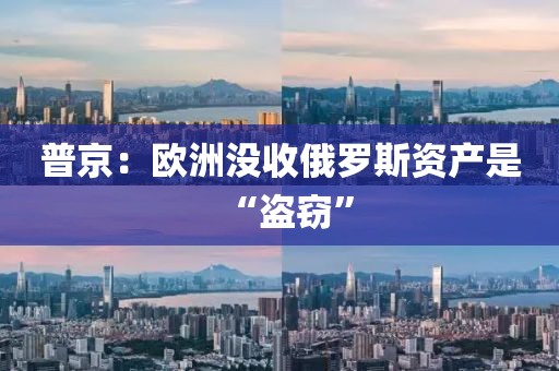 普京：欧洲没收俄罗斯资产是“盗窃”