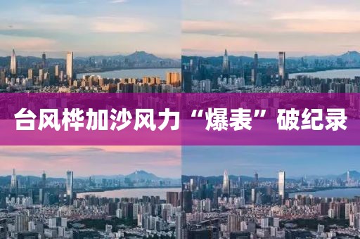 台风桦加沙风力“爆表”破纪录