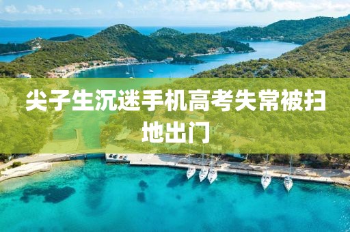 尖子生沉迷手机高考失常被扫地出门
