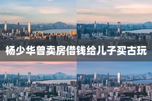 杨少华曾卖房借钱给儿子买古玩