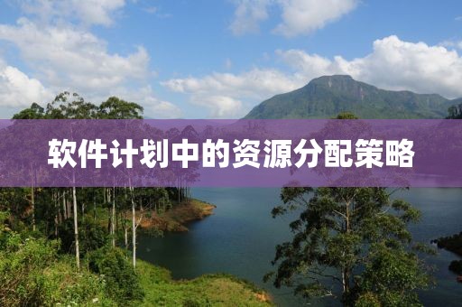 软件计划中的资源分配策略