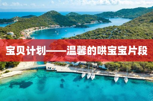 计划软件如何导出任务列表？