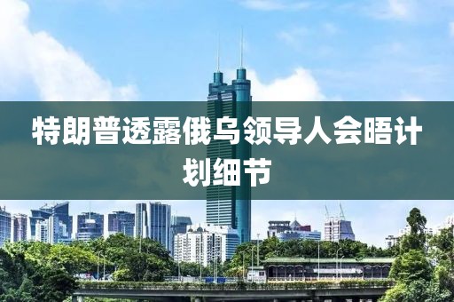 特朗普透露俄乌领导人会晤计划细节