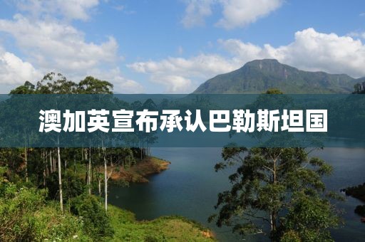 澳加英宣布承认巴勒斯坦国