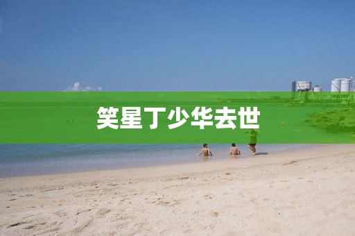 笑星丁少华去世