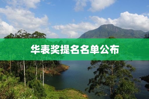 华表奖提名名单公布