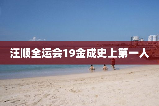 汪顺全运会19金成史上第一人