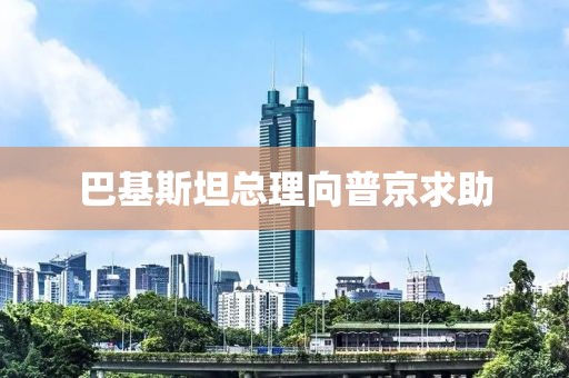 巴基斯坦总理向普京求助