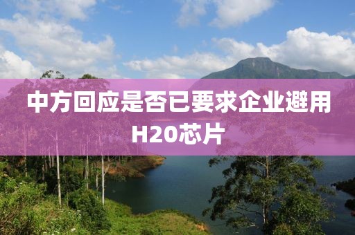 中方回应是否已要求企业避用H20芯片