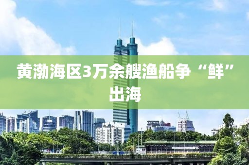 黄渤海区3万余艘渔船争“鲜”出海