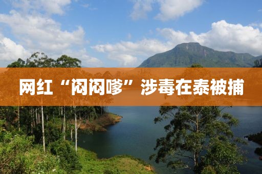 网红“闷闷嗲”涉毒在泰被捕