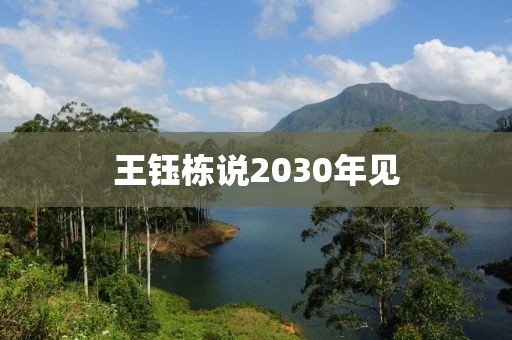 王钰栋说2030年见