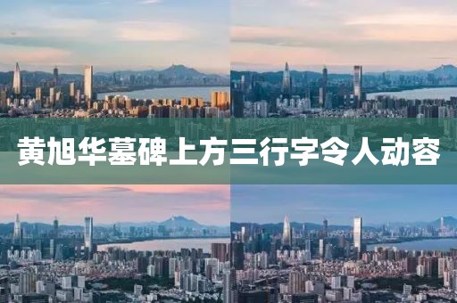 黄旭华墓碑上方三行字令人动容