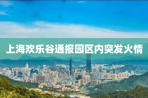 上海欢乐谷通报园区内突发火情