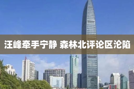 汪峰牵手宁静 森林北评论区沦陷