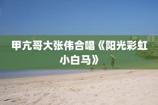 甲亢哥大张伟合唱《阳光彩虹小白马》