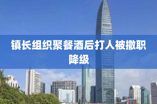 镇长组织聚餐酒后打人被撤职降级