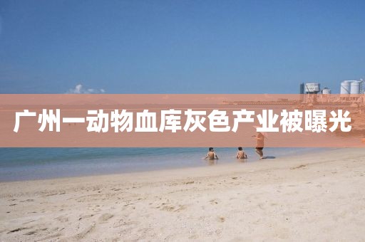 广州一动物血库灰色产业被曝光