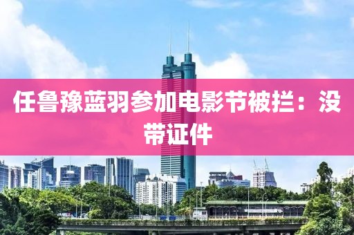 任鲁豫蓝羽参加电影节被拦：没带证件