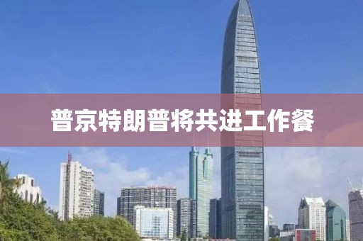 普京特朗普将共进工作餐