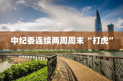 中纪委连续两周周末“打虎”