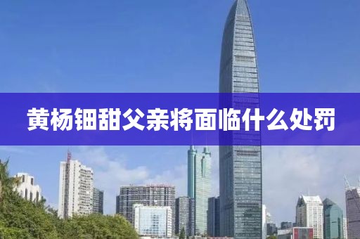 黄杨钿甜父亲将面临什么处罚