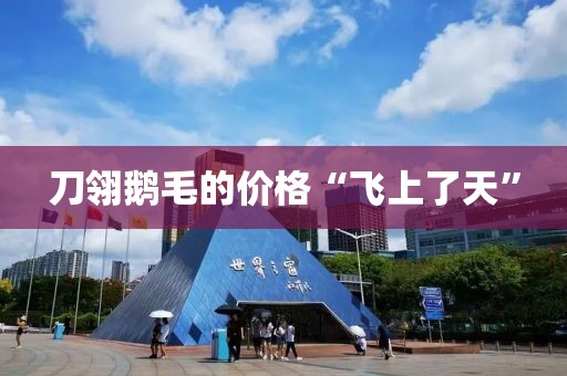 刀翎鹅毛的价格“飞上了天”