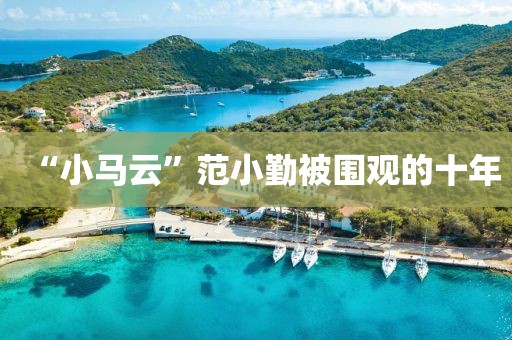 “小马云”范小勤被围观的十年