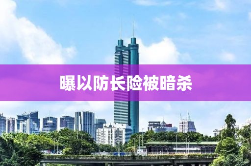 曝以防长险被暗杀