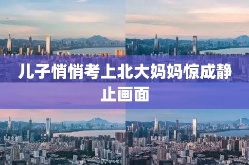 儿子悄悄考上北大妈妈惊成静止画面