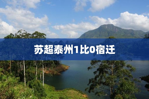 苏超泰州1比0宿迁