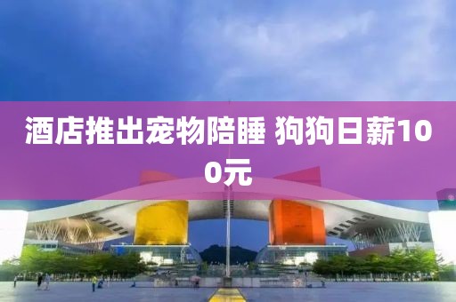 酒店推出宠物陪睡 狗狗日薪100元