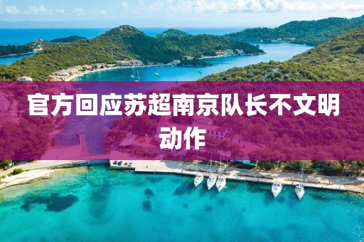官方回应苏超南京队长不文明动作