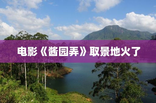 电影《酱园弄》取景地火了