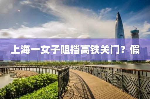 上海一女子阻挡高铁关门？假