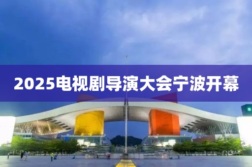 2025电视剧导演大会宁波开幕