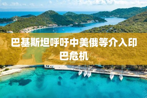 巴基斯坦呼吁中美俄等介入印巴危机