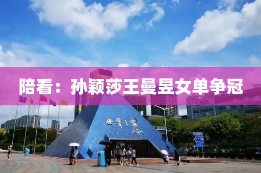 陪看：孙颖莎王曼昱女单争冠