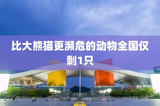 比大熊猫更濒危的动物全国仅剩1只