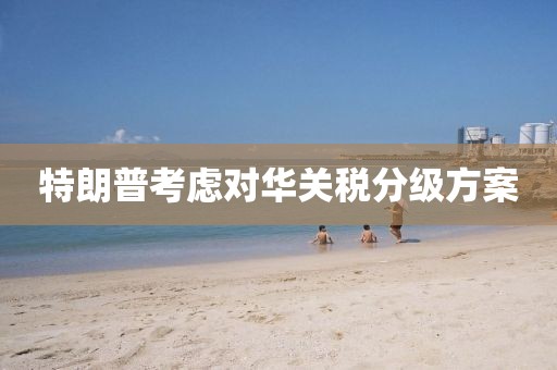 特朗普考虑对华关税分级方案 特朗普考虑对华关税分级方案