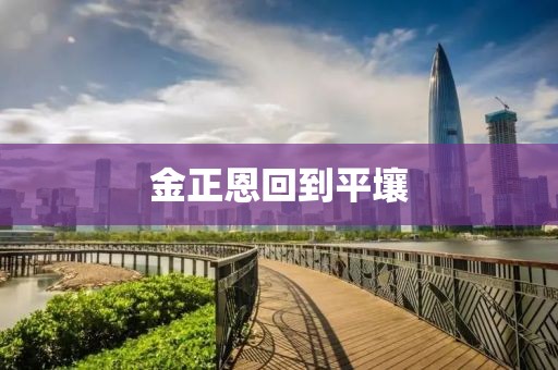 金正恩回到平壤