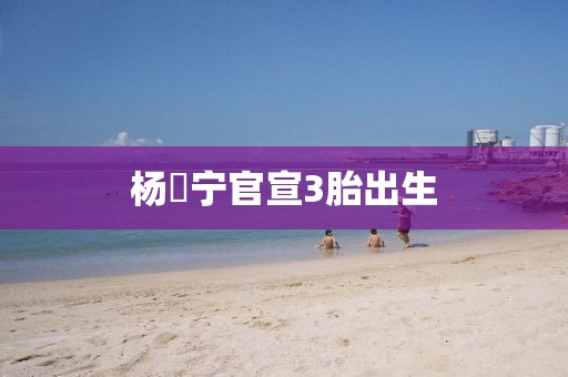 杨祐宁官宣3胎出生